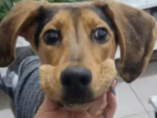 Ekran-Resmi-2026-01-19-15.35.27