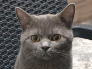 Ekran-Resmi-2026-01-19-15.38.09