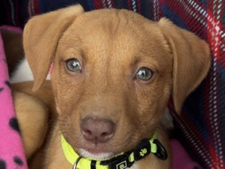 Ekran-Resmi-2026-01-19-15.50.48