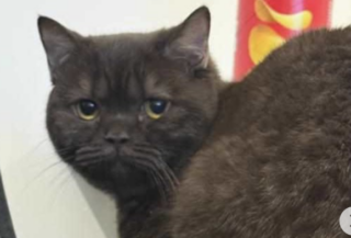 Ekran-Resmi-2026-01-19-15.53.16