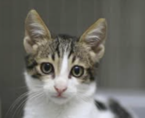 Ekran-Resmi-2026-01-19-15.55.10