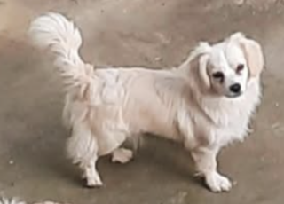 Ekran-Resmi-2026-01-19-16.03.01