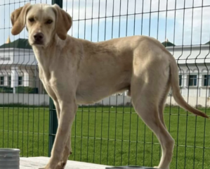 Ekran-Resmi-2026-01-19-16.04.48