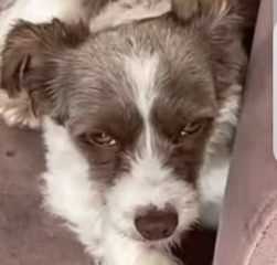 Ekran-Resmi-2026-01-19-16.07.52