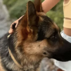 Ekran-Resmi-2026-01-19-16.11.16