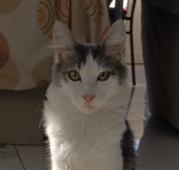 Ekran-Resmi-2026-01-19-16.13.05