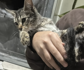 Ekran-Resmi-2026-01-19-16.15.37