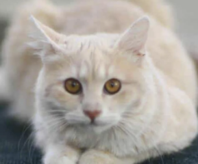 Ekran-Resmi-2026-01-19-16.18.33