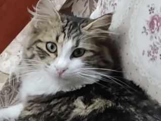 Ekran-Resmi-2026-01-19-16.27.16