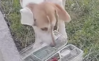 Ekran-Resmi-2026-01-19-16.29.21