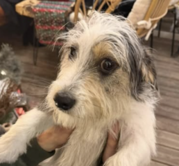 Ekran-Resmi-2026-01-19-16.33.41