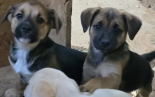 Ekran-Resmi-2026-01-19-17.35.45