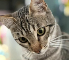 Ekran-Resmi-2026-01-19-17.36.44