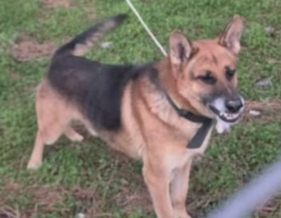 Ekran-Resmi-2026-01-19-17.38.48