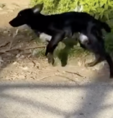 Ekran-Resmi-2026-01-19-17.40.43