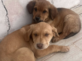 Ekran-Resmi-2026-01-19-17.42.50