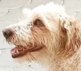 Ekran-Resmi-2026-01-19-17.45.32