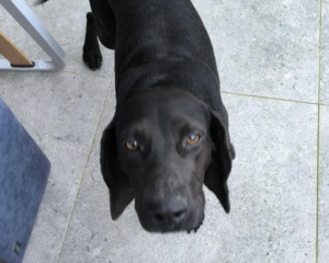 Ekran-Resmi-2026-01-19-17.48.07