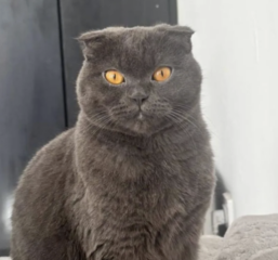 Ekran-Resmi-2026-01-19-17.49.09