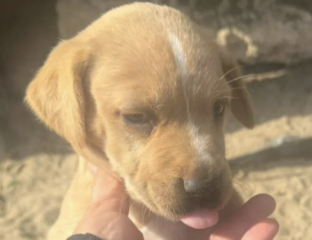 Ekran-Resmi-2026-01-19-17.52.57