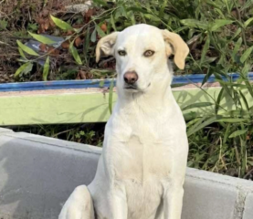 Ekran-Resmi-2026-01-19-17.53.15