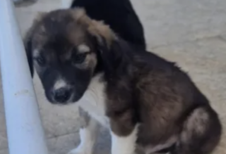 Ekran-Resmi-2026-01-19-17.58.00