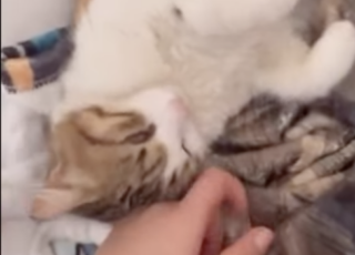 Ekran-Resmi-2026-01-19-18.03.43