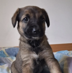 Ekran-Resmi-2026-01-19-18.26.39