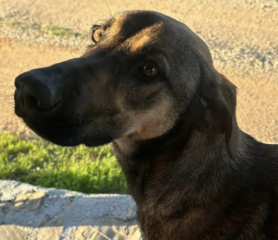 Ekran-Resmi-2026-01-19-18.58.07