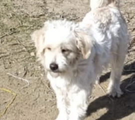 Ekran-Resmi-2026-01-19-19.02.20