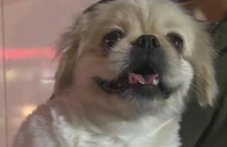 Ekran-Resmi-2026-01-19-19.05.47