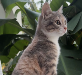 Ekran-Resmi-2026-01-19-19.06.49