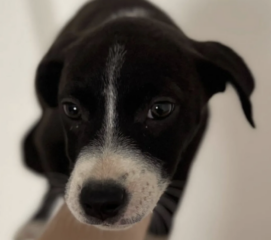 Ekran-Resmi-2026-01-19-19.08.19