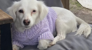 Ekran-Resmi-2026-01-19-19.43.57