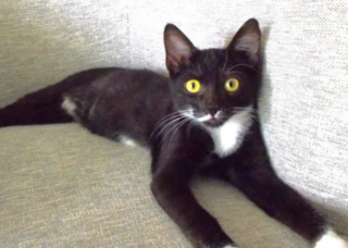 Ekran-Resmi-2026-01-19-19.48.50