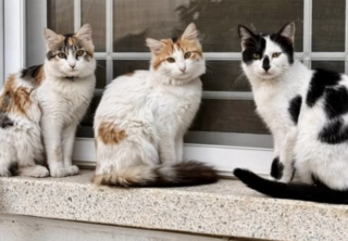 Ekran-Resmi-2026-01-19-19.50.19