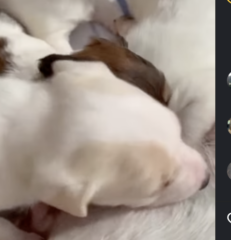 Ekran-Resmi-2026-01-19-19.54.08