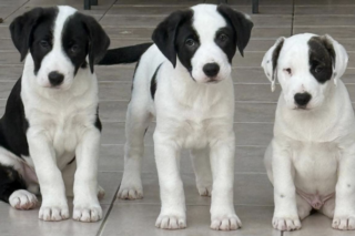 Ekran-Resmi-2026-01-19-19.57.35