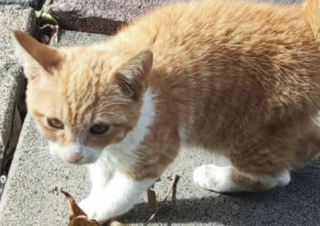 Ekran-Resmi-2026-01-19-20.01.36