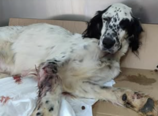 Ekran-Resmi-2026-01-19-20.06.35