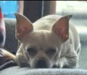 Ekran-Resmi-2026-01-19-20.12.15