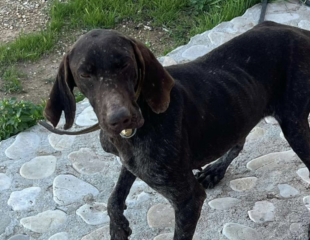 Ekran-Resmi-2026-01-19-20.16.21