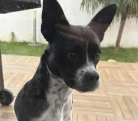 Ekran-Resmi-2026-01-19-20.18.02