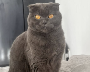 Ekran-Resmi-2026-01-19-20.24.01