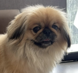 Ekran-Resmi-2026-01-19-20.27.13