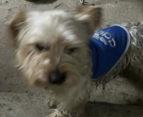 Ekran-Resmi-2026-01-19-20.36.45