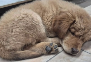 Ekran-Resmi-2026-01-19-20.38.18