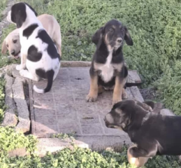 Ekran-Resmi-2026-01-19-20.40.20