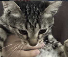 Ekran-Resmi-2026-01-19-20.46.20