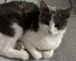 Ekran-Resmi-2026-01-19-20.49.38